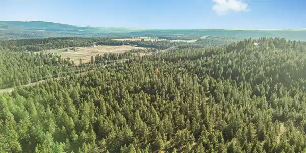 Image 4 Image 4