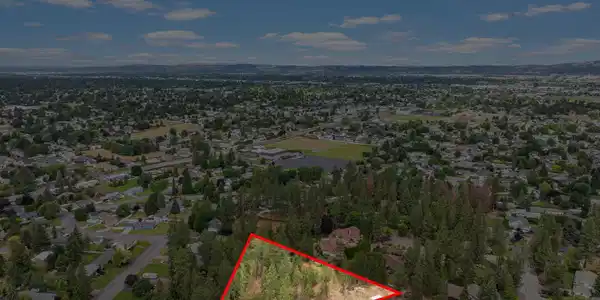 Image 4 Image 4