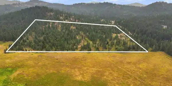 Image 4 Image 4