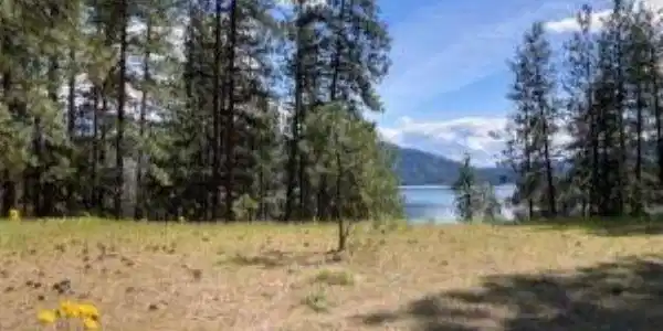 Image 2 Image 2