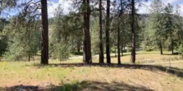 Image 3 Image 3