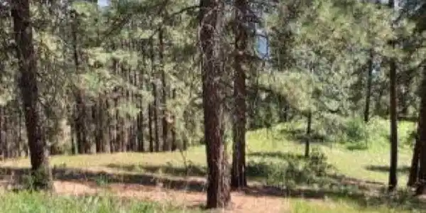 Image 4 Image 4