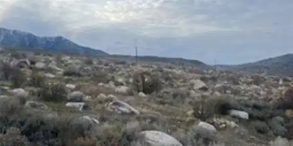 Image 4 Image 4