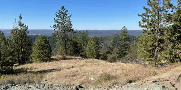 Image 3 Image 3