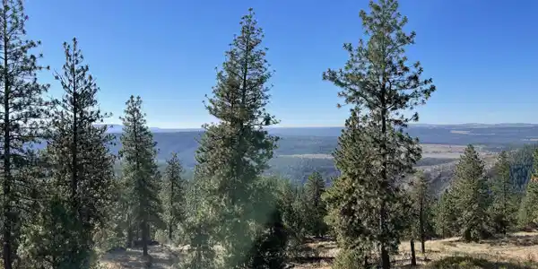 Image 4 Image 4