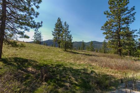 1622 Palmer Loop
