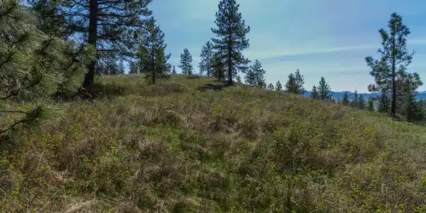 Image 3 Image 3
