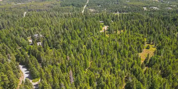 Image 4 Image 4