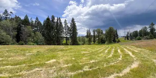Image 4 Image 4