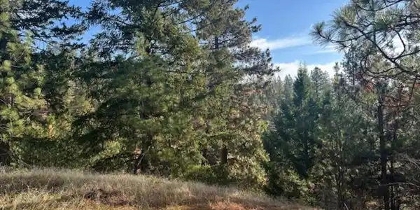Image 4 Image 4