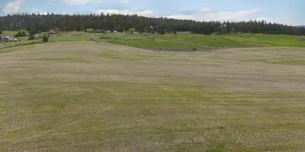Image 4 Image 4