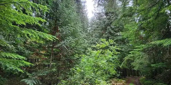 Image 3 Image 3