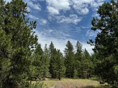587x  lot 3 Lower Weaver Way
