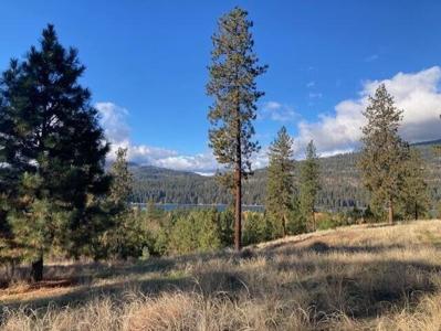 1351 Lake Roosevelt Way