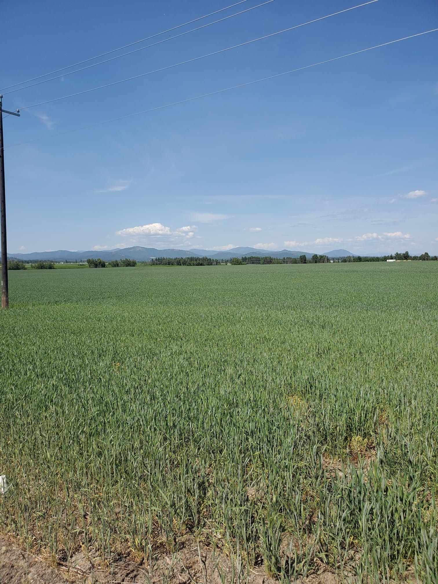 Image 2 Image 2