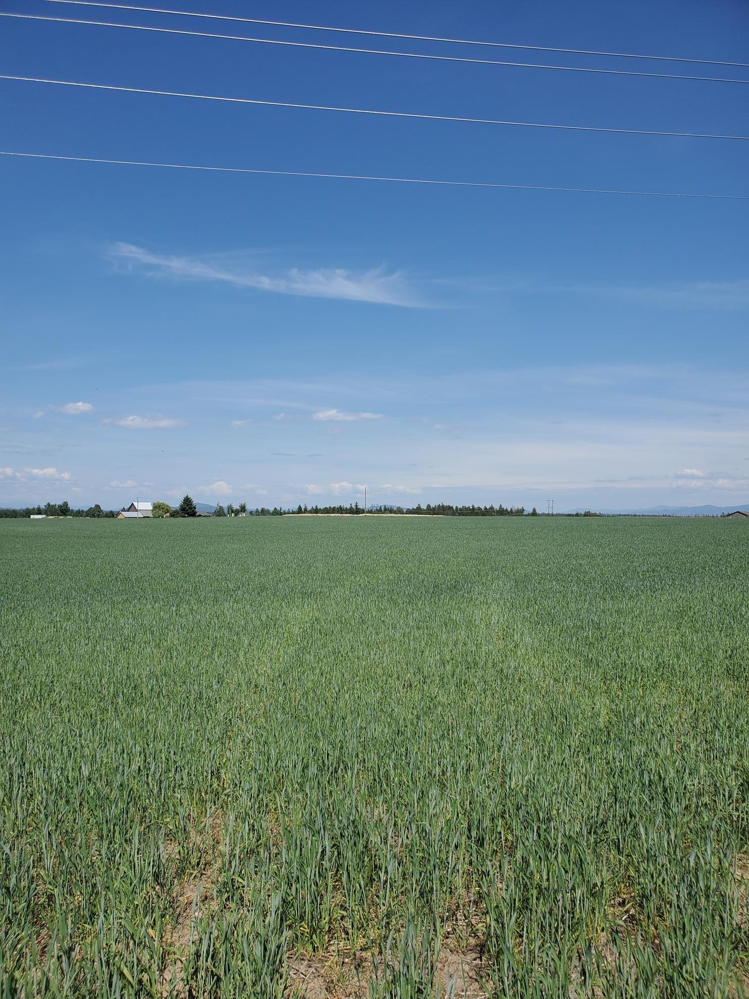 Image 3 Image 3