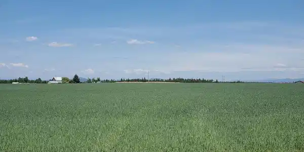Image 3 Image 3