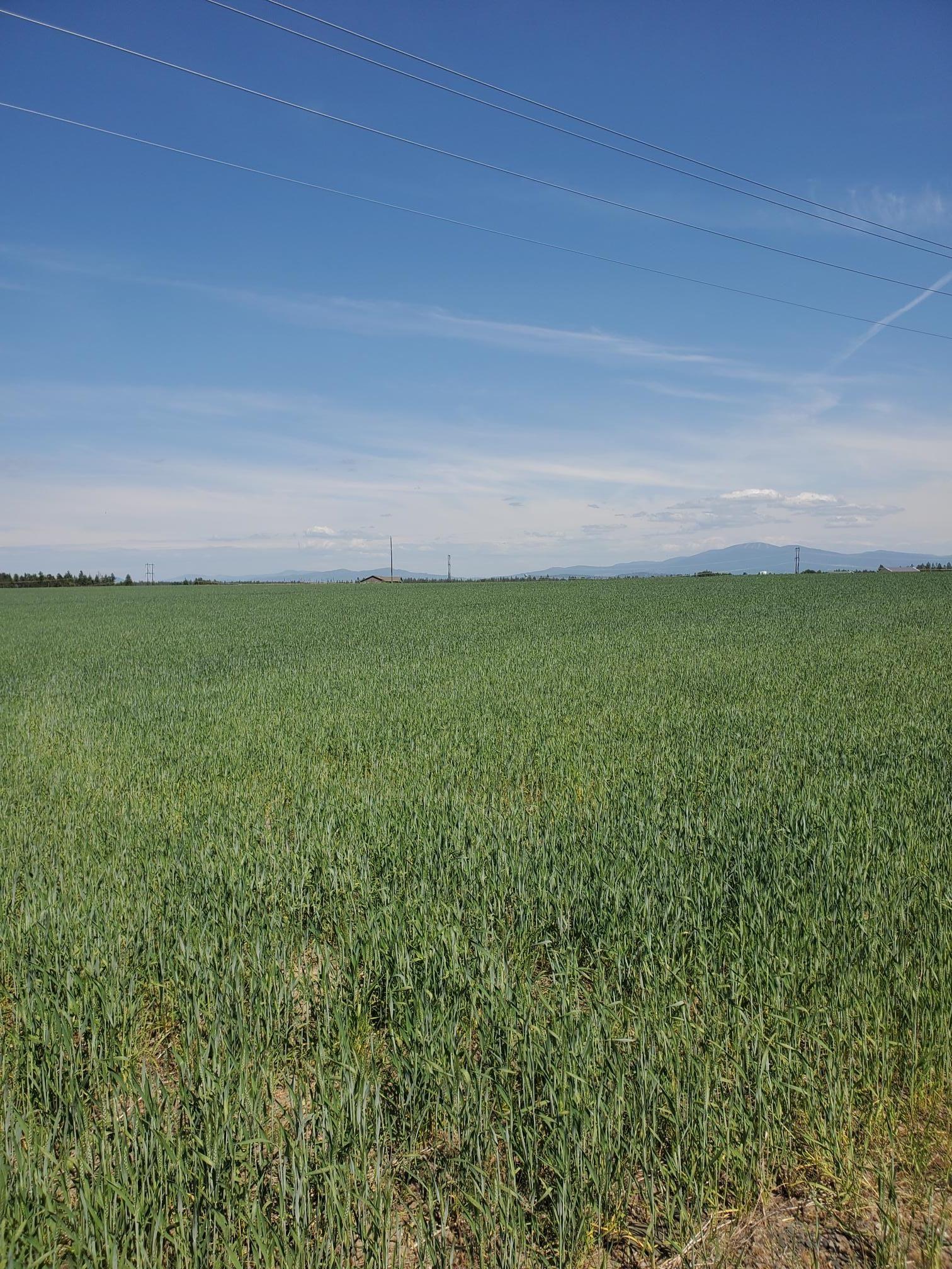Image 4 Image 4
