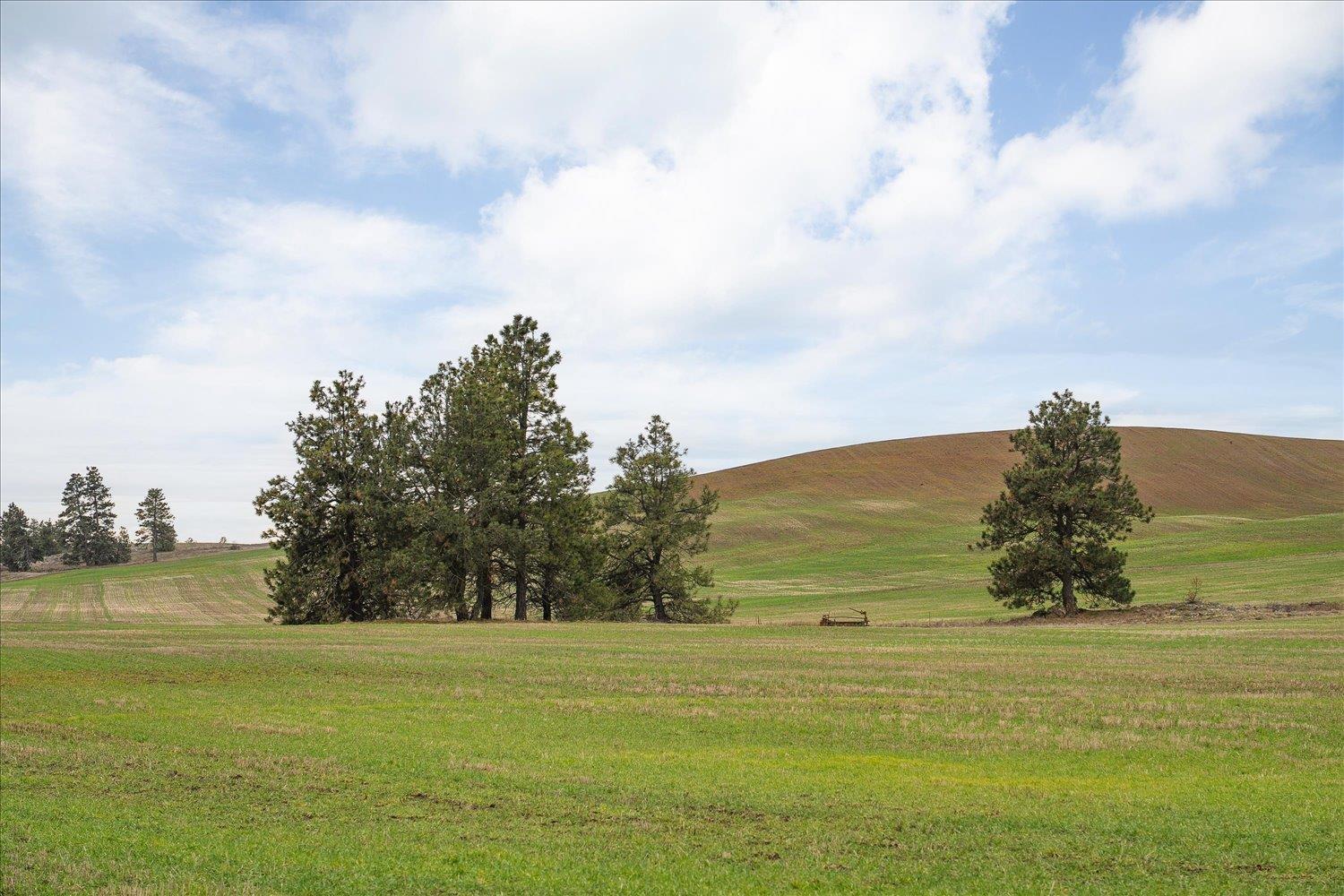 Image 3 Image 3