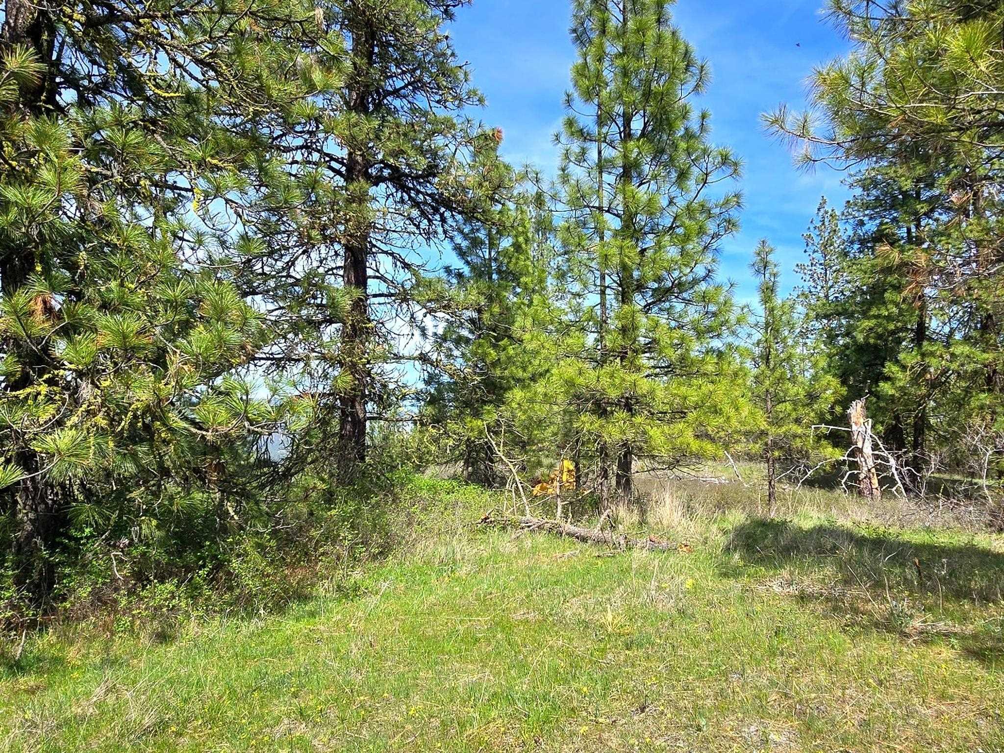 Image 4 Image 4