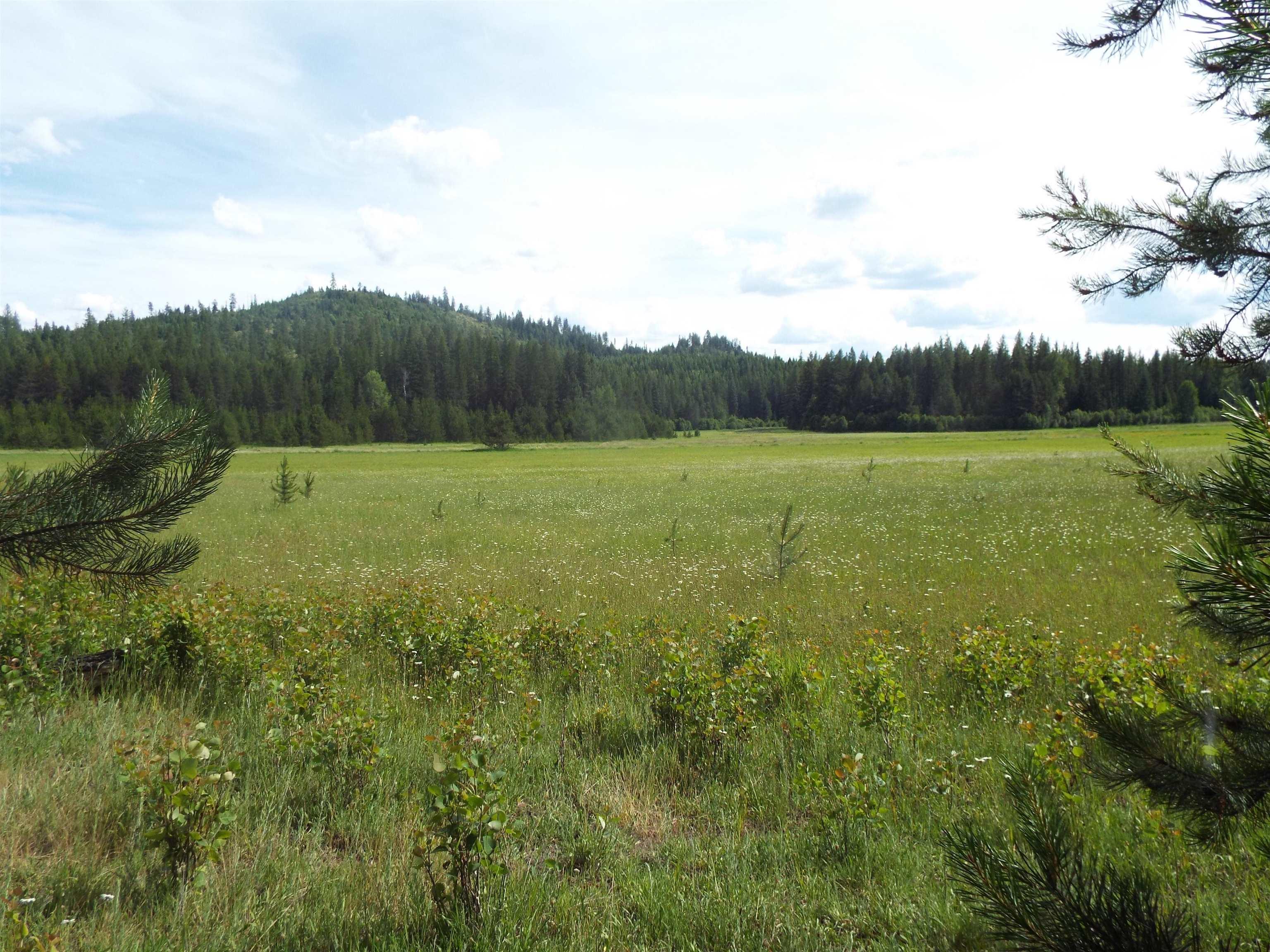 Image 4 Image 4