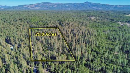 NKN Bear Tooth Rd