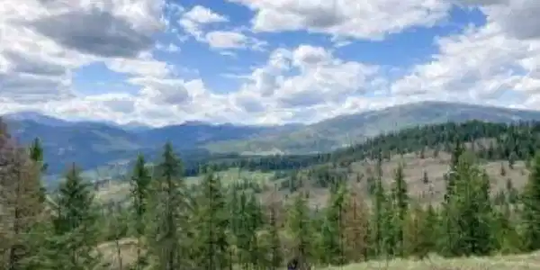 Image 2 Image 2