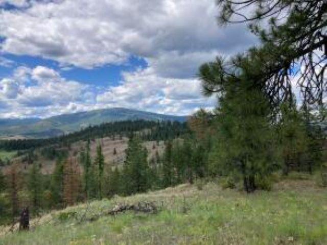 Image 3 Image 3