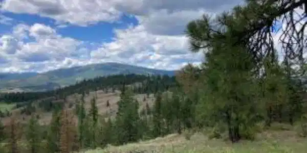 Image 3 Image 3
