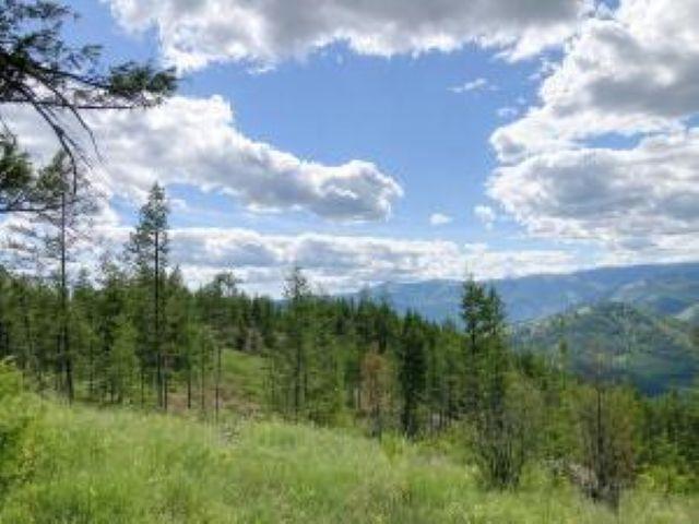 Image 4 Image 4
