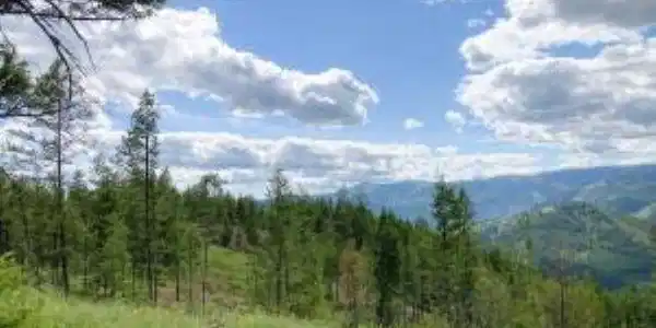 Image 4 Image 4