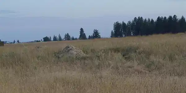Image 2 Image 2