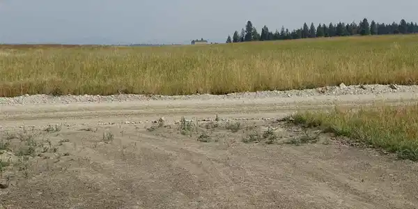 Image 3 Image 3