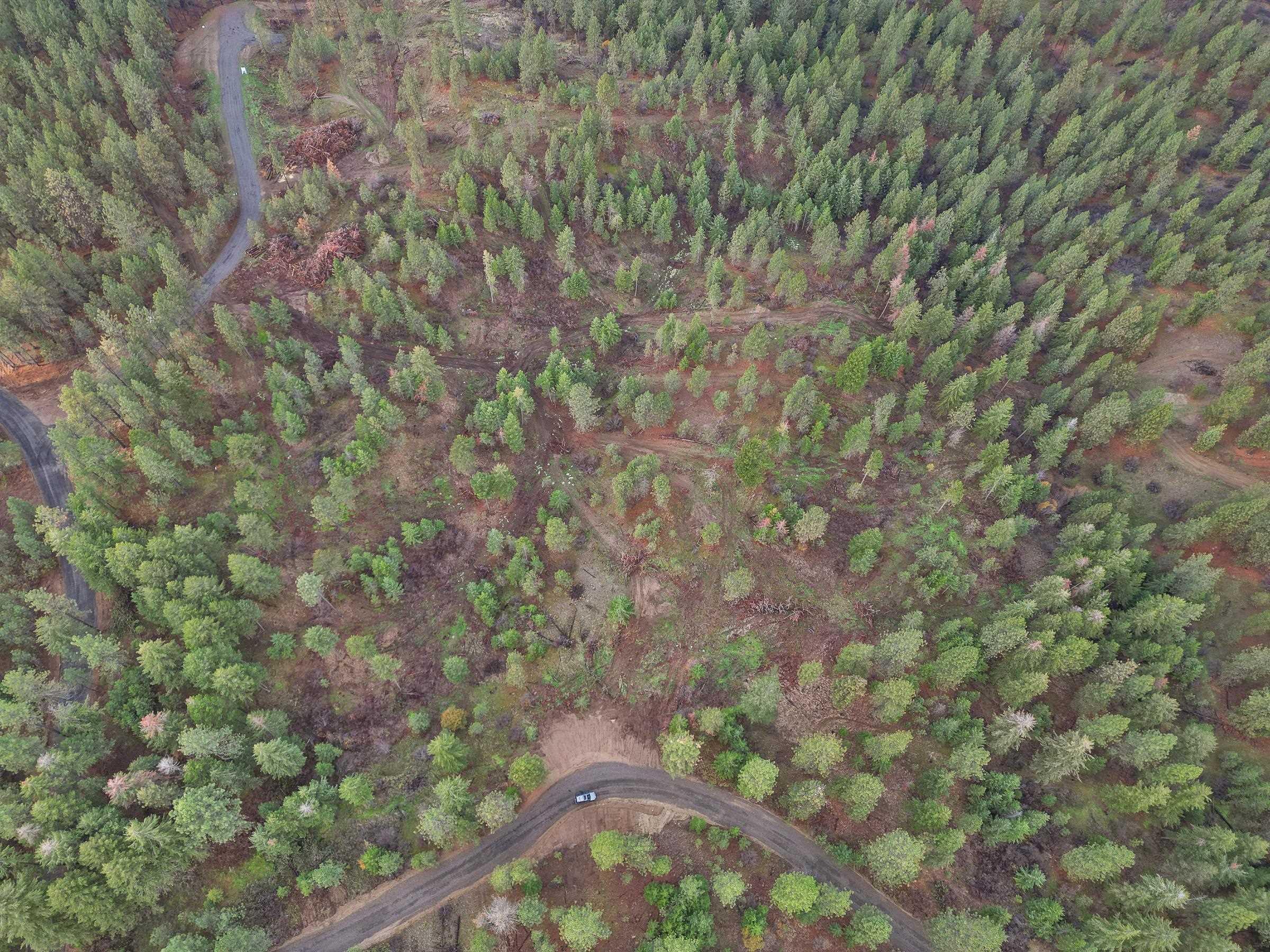 Image 3 Image 3