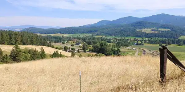 Image 4 Image 4