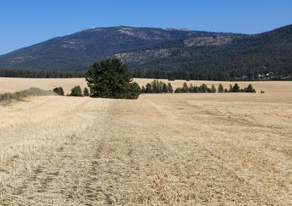 S 8006 Jackson Rd