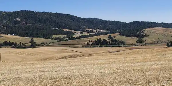 S 8004 Jackson Rd