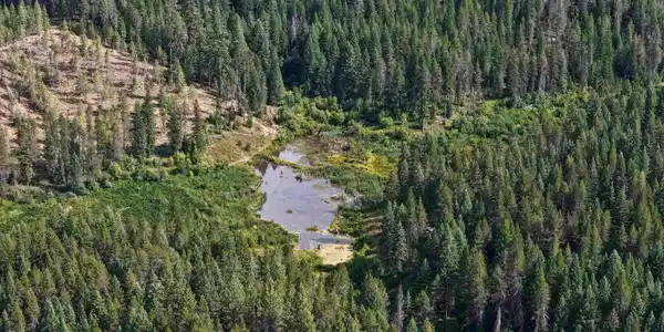 Image 4 Image 4
