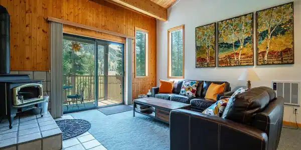 972 Kirkwood Mdws Drive