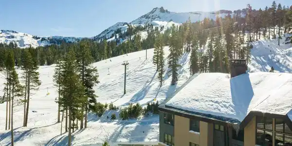 1215 Kirkwood Meadows Drive
