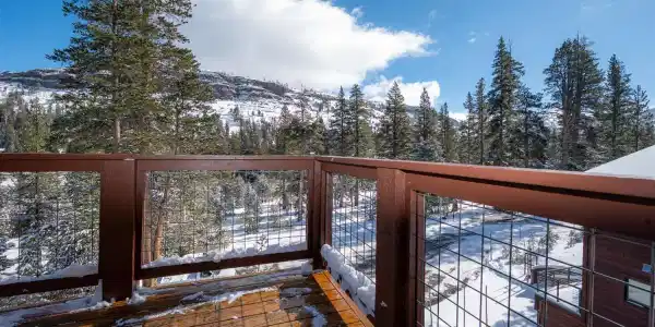 33921 Hawkweed Way