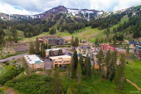 1410 Kirkwood Meadows Drive