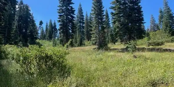 Bucks Lake Road, Bucks Lake CA 95971