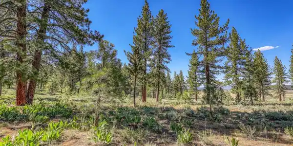 7455 Lahontan Drive, Truckee CA 96161