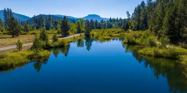1200,1101,1000 Golden Feather Ranch Road, Graeagle CA 96103-000