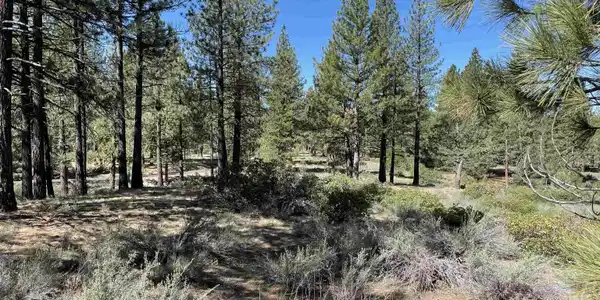 427 Sunburst, Portola CA 96122