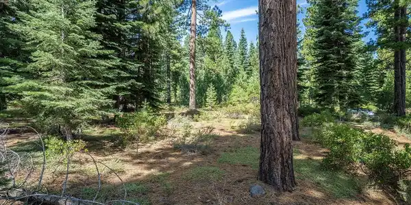 801 Joseph Gray, Truckee CA 96161