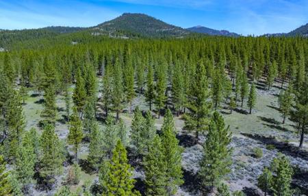 73077 Highway 70, Portola CA 96122