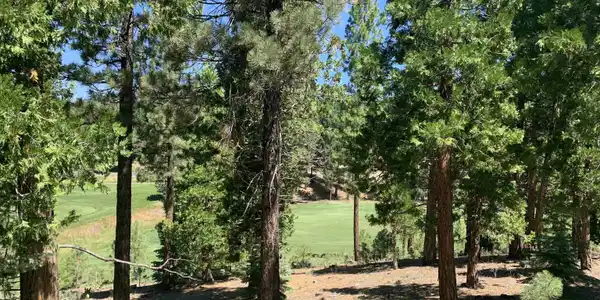 2066 Grizzly Ranch Road, Portola CA 96122