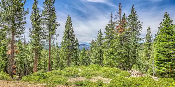 16145 Martis Peak Road, Truckee CA 96161